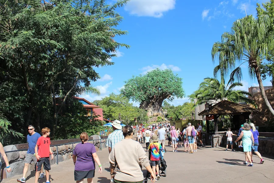 Animal Kingdom